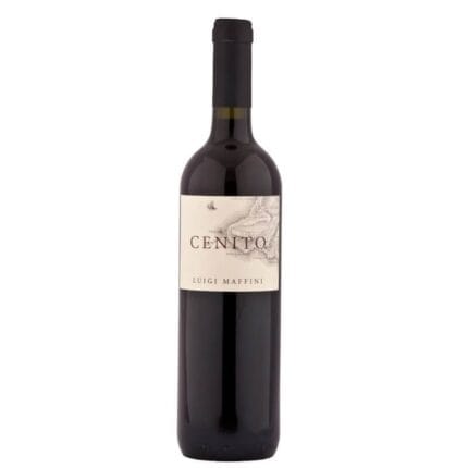 Cilento Aglianico DOP "Cenito" 2020 - Luigi Maffini